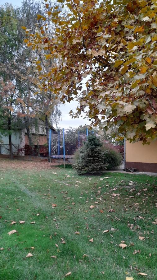 Szahara Vendeghaz Apartment Kerekegyháza Exterior foto